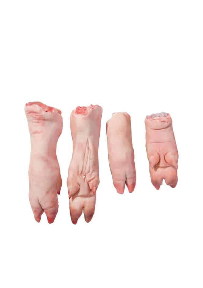 Trotters