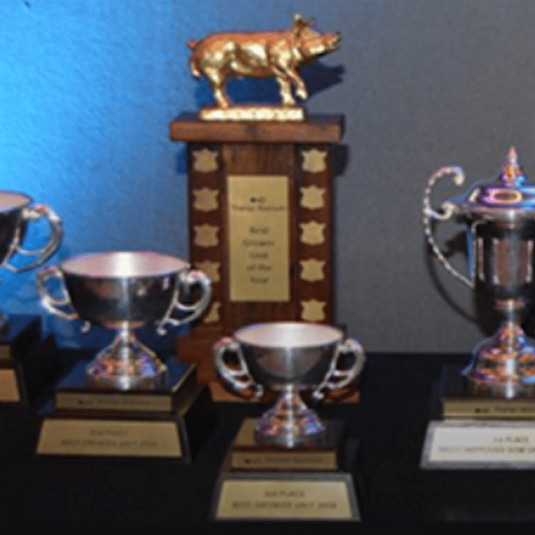 Topigs Norsvin SA recognises excellence in the pig sector!
